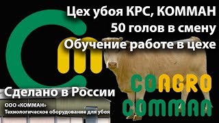 [18+] Цех убоя КРС 50 голов в смену. Бойня КРС. Россия, КОММАН