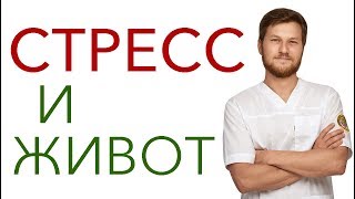 СТРЕСС И ЖИВОТ. Предтеча. Тимофей Кармацких