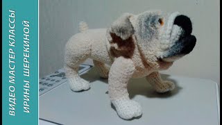Английский бульдог,ч.3.  English Bulldog, р.3.   Amigurumi. Crochet.  Игрушки крючком.
