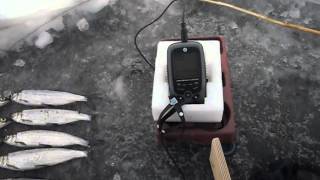 Двухлучевой эхолот JJ-Connect Fisherman 220 Duo Ice Edition Mark II
