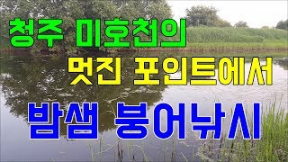 청주 미호천의 멋진 포인트에서 밤샘 붕어낚시(竿儿钓, 钓鱼, river fishing)