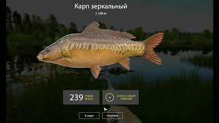 Русская рыбалка 4. Озеро Медвежье.