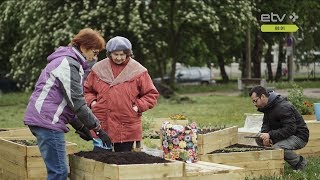 В Таллинне уже семь общественных огородов: каждый может посадить помидоры!