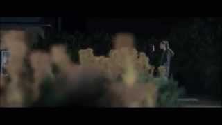 Академия вампиров. VAMPIRE ACADEMY (Rose and Dimitri)