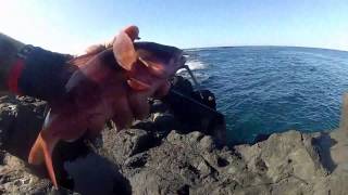 Fishing Reunion Island by  Daino washiman and Sam natio