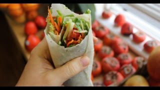 Raw Vegan Tortilla Wrap 1 Ingredient !!