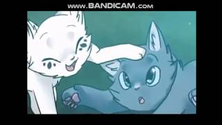 Коты-Воители/ Смерть Синей Звезды/Клип-Вставай,борись,поднимайся!