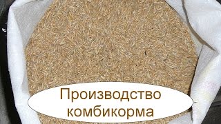 Производство комбикорма. Бизнес идея