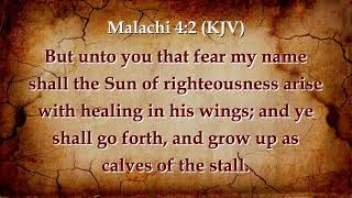 The Manifestation of The Son's of God: 'THE CURE' | Deliverance From Sin And The Sin Nature