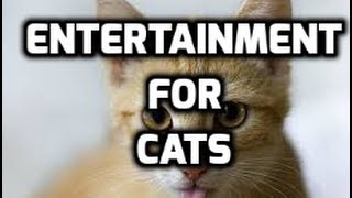 Entertainment For Cats - Cat Entertainment - Hourlong Entertainment For Cats