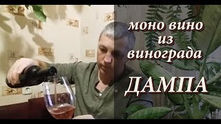 Сухое вино с ароматом клубники из винограда ДАМПА.