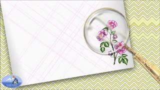 #Футаж.   #рисованноевидео