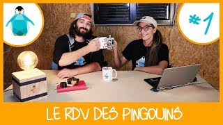 Bruit de la pluie sur le bacacier, agrandissement et cuisine aménagé - RDV Pingouins #1
