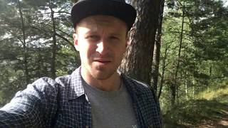 Кимры