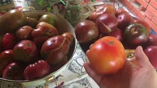 Консервированные томаты на зиму / мой любимый рецепт
