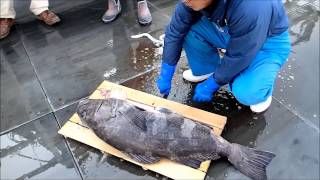 アブラボウズの解体
