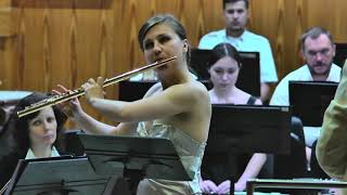 P.Tchaikovsky Violin concerto (flute version)  1 movement