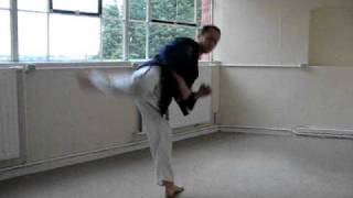 Senior Purple - Kicking Kata