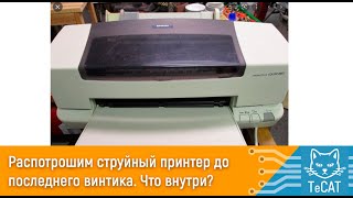 Disasemble printer Как разобрать epson 880
