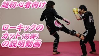 【?初心者向け】ローキックのカット（防御）のやり方の説明 キックボクシングテクニック  #ローキック #ムエタイ #キックボクシング  #新潟市