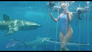 Shark Attack - Cam Girl Bitten off Florida Coast