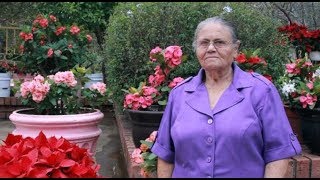 AMLO APOYA A MAMÁ DE “EL CHAPO” GUZMÁN PARA QUE DOS HERMANAS OBTENGAN VISAS Y LO VISITEN