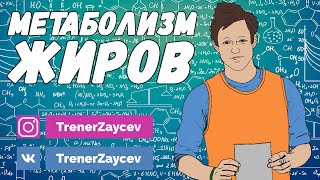 05. Метаболизм жиров