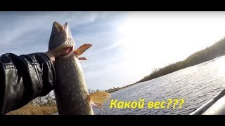 Ловля щуки на Озере Песчаное. Ростов-на-Дону