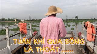 Phân tích dấu vết Tuấn Khỉ lẩn trốn , tin tức mới nhất