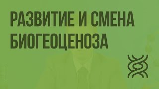 Развитие и смена биогеоценоза. Видеоурок по биологии 9 класс