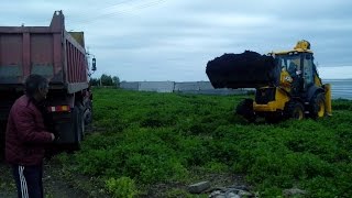 АТ36 Черви Старатель на севере России в Ханты-Мансийске 14.07.2014