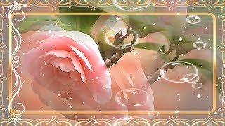 Музыкальная открытка-Татьянин День!