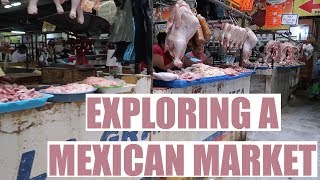 EXPLORING MERIDA MEXICO'S MARKET AND TRYING REAL MEXICAN FOOD!!!
