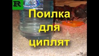 Поилка для цыплят (Drinker for chickens)
