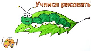 Как нарисовать гусеницу