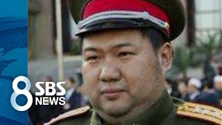 中 언론 "마오쩌둥 유일한 친손자, 北 교통사고 사망설" / SBS