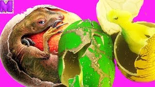 Как вырастить яйцо динозавра? Инструкция. Огромные яйца дракона!