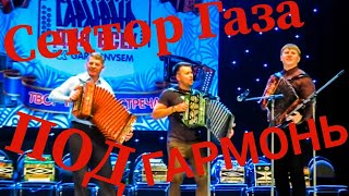 СЕКТОР ГАЗА на ГАРМОНИ! LIVE COVER! Лайв КАВЕР на ГАРМОШКЕ!
