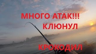 Ловля Щуки на Поппер! Ловля Щуки на Мелководье!