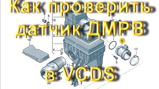 Как сделать Диагностику ДМРВ AUDI VW в Вася Диагност.AkerMehanik