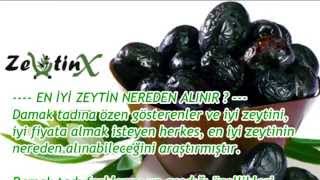 EN İYİ ZEYTİN NEREDEN ALINIR ? - ZeytinX - En İRİ, En KALİTELİ siyah zeytinin adresi