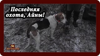 ШОК! Последняя охота Айны!