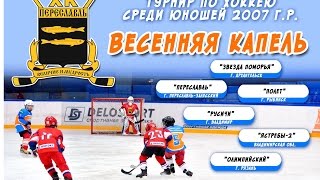 ХК Ястребы (г.Ковров ВО) - ХК Олимпийский (г.Рязань)