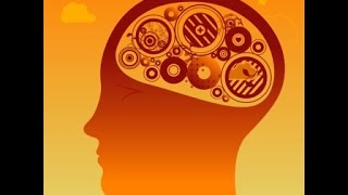 Как сэкономить  40 % в Египте и сафари на Занзибаре