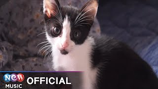 [MV] Salmon Sushi(연어초밥) - Living with you(너와 산다는 것)