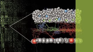 caesarium: Dr. Moritz Helmstaedter - Karten des Denkens: die Vermessung neuronaler Netzwerke