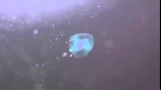 начало для видео