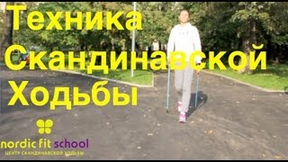 Техника Скандинавской ходьбы за 5 минут