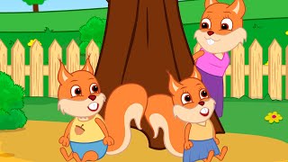 Famille d'Écureuil - Maman Joue à Cache-Cache Vidéos Animé 2021 en Français 13+