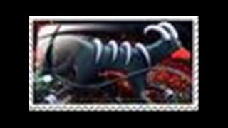 Houndoom tribute savin me